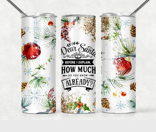 Dear Santa 2