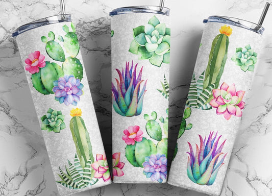 Succulents